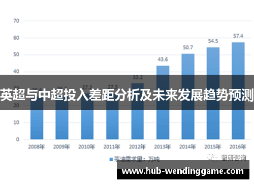 英超与中超投入差距分析及未来发展趋势预测