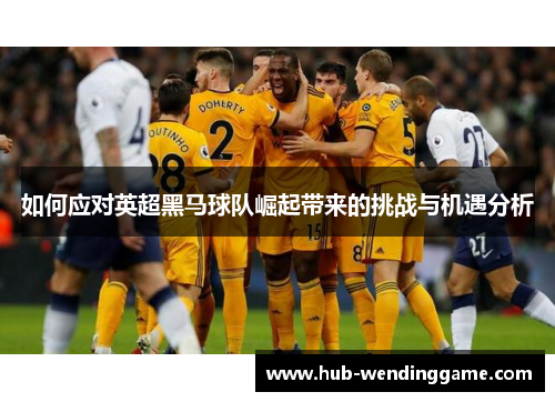 如何应对英超黑马球队崛起带来的挑战与机遇分析
