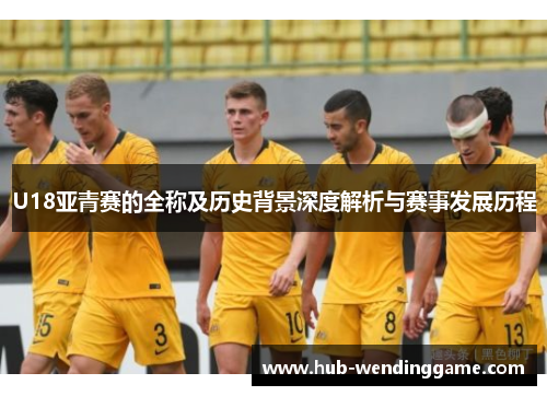 U18亚青赛的全称及历史背景深度解析与赛事发展历程