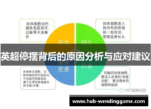 英超停摆背后的原因分析与应对建议 英超停摆背后的原因分析与应对建议