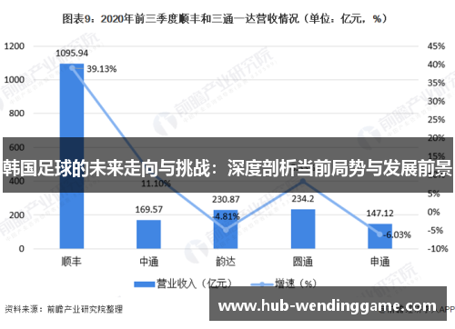 韩国足球的未来走向与挑战：深度剖析当前局势与发展前景